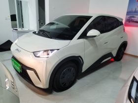 比亚迪 海鸥 2025款 305km 活力版