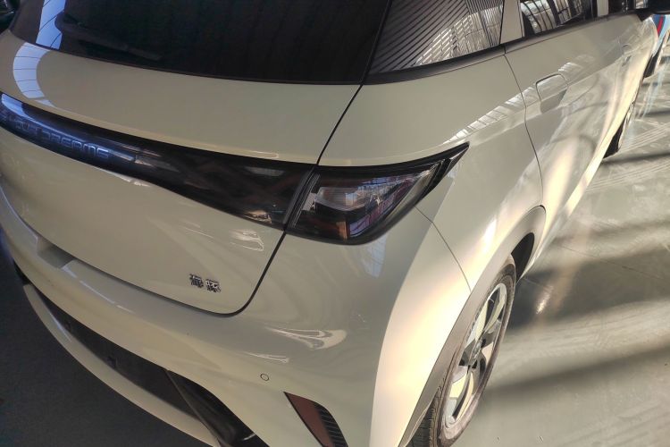 比亚迪 海豚 2024款 荣耀版 420km 时尚版车身外观9