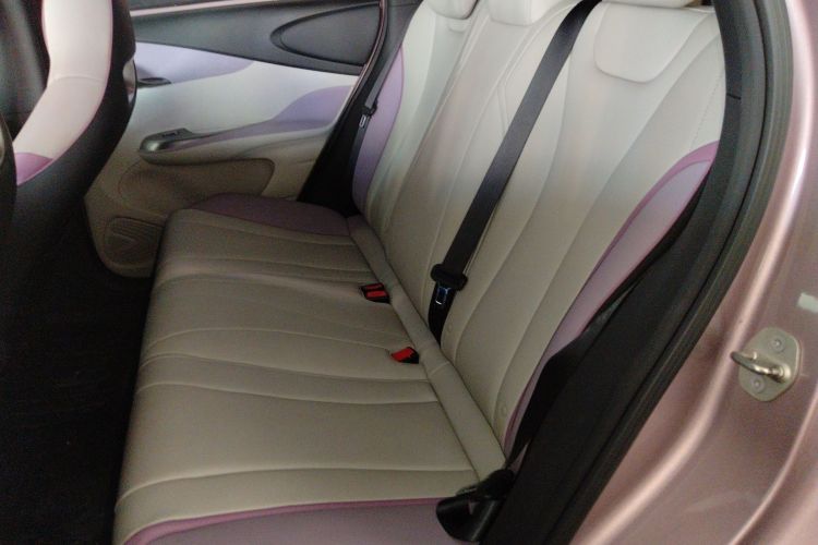 比亚迪 海豚 2023款 420km 自由版中控内饰21