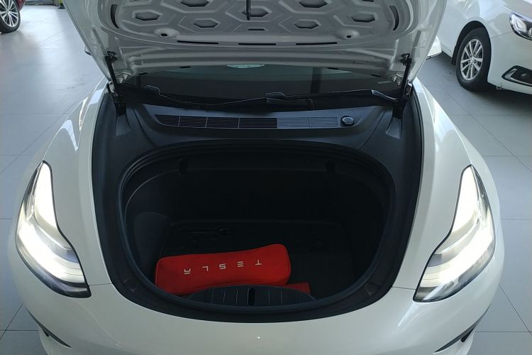 特斯拉 Model 3(进口) 2019款 标准续航后驱升级版(60度)局部细节24