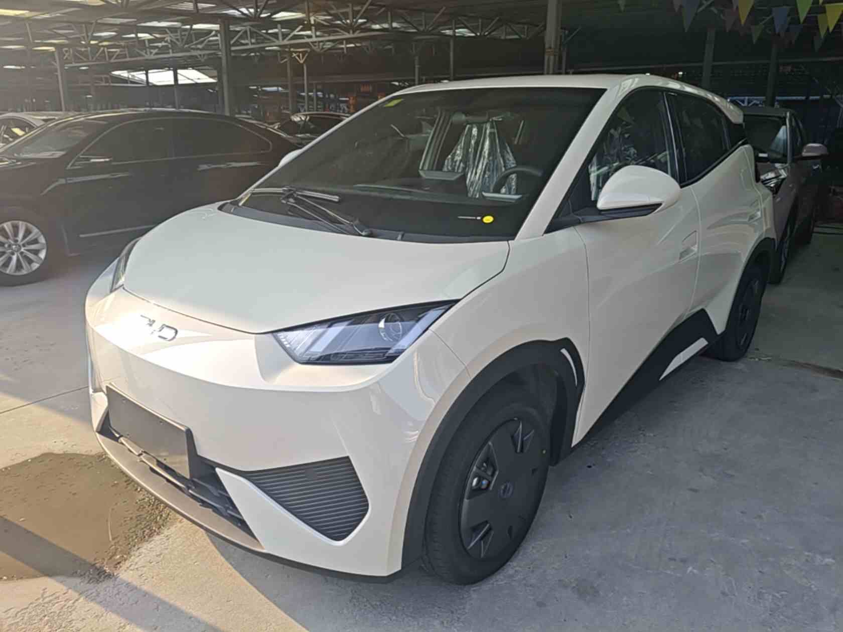 比亚迪 海鸥 2025款 智驾版 305km 活力版(2)