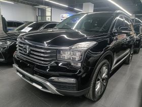 广汽传祺 传祺GS8 2017款 320T 两驱豪华智联版（七座）