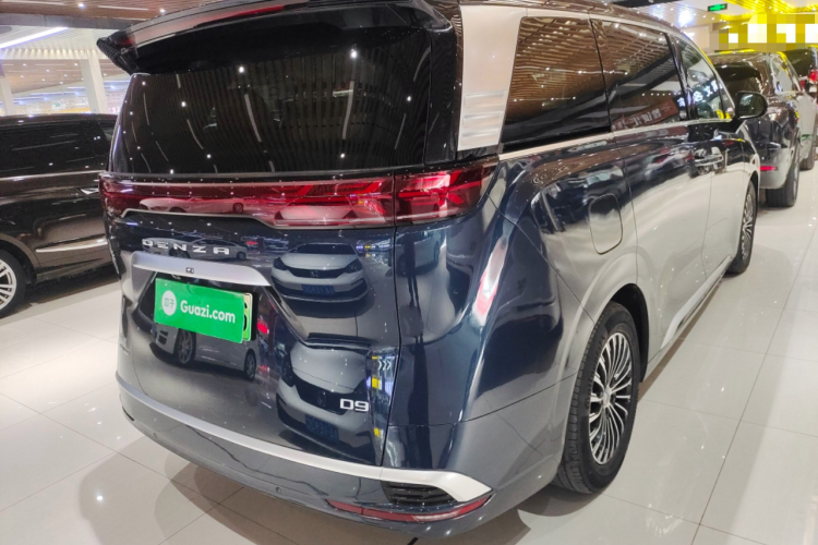 腾势D9 2022款 DM-i 1040 尊贵型车身外观6006