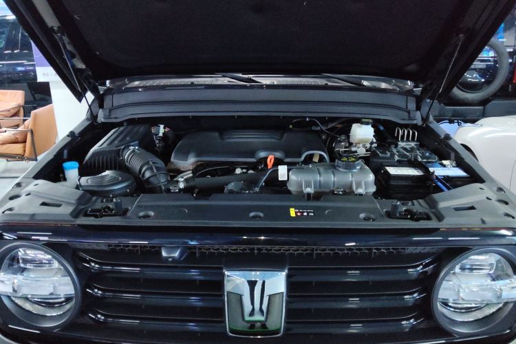 坦克300 2024款 2.0T 征服者机舱底盘24