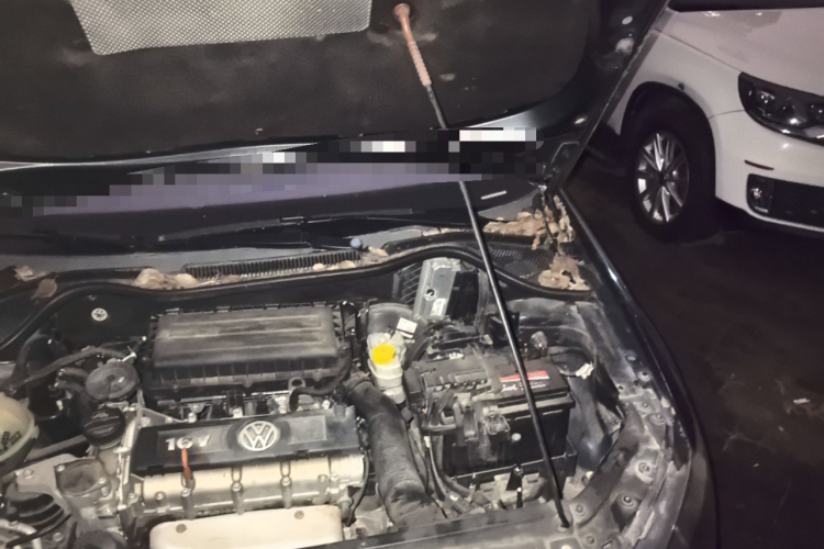 大众 Polo 2011款 1.6L 自动致酷版局部细节9007