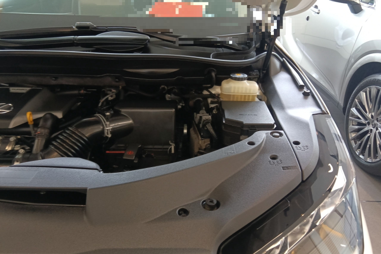 雷克萨斯RX 2020款 300 四驱典雅版 国VI机舱底盘26