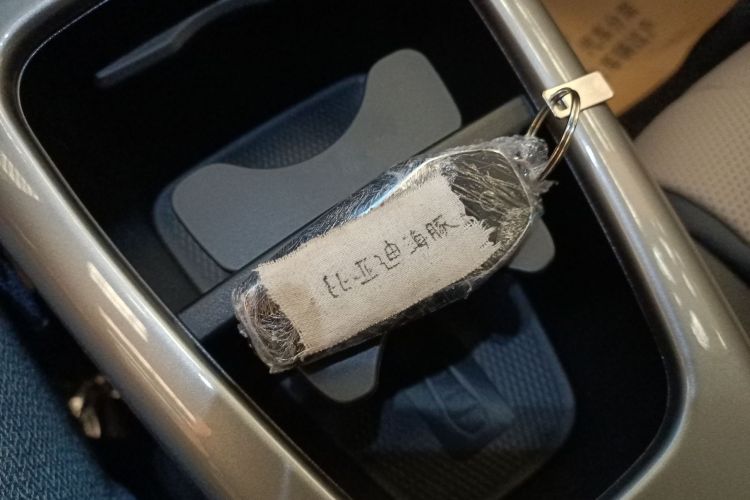 比亚迪 海豚 2025款 智驾版 420km 自由版中控内饰11