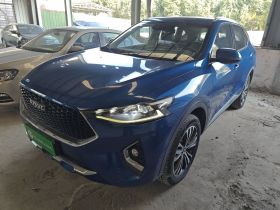 哈弗F7 2019款 2.0T 两驱i范 国VI