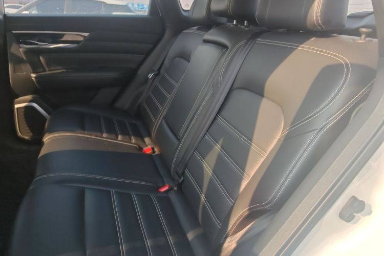 启辰星 2020款 260T 自动48V轻混增压 星享版中控内饰21