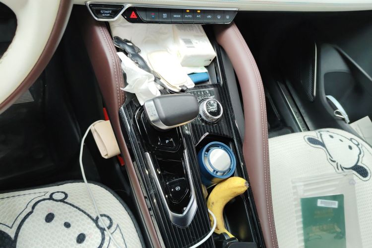 吉利汽车 星越L 2021款 2.0TD DCT EVO两驱尊贵型中控内饰18