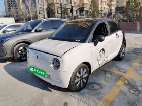 欧拉黑猫 2021款 301km 基础型