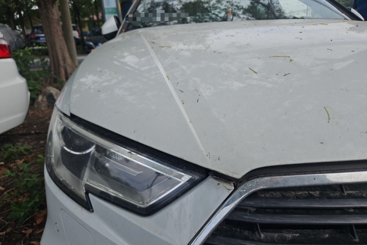 奥迪A3 2017款 Limousine 35 TFSI 时尚型车身外观6006