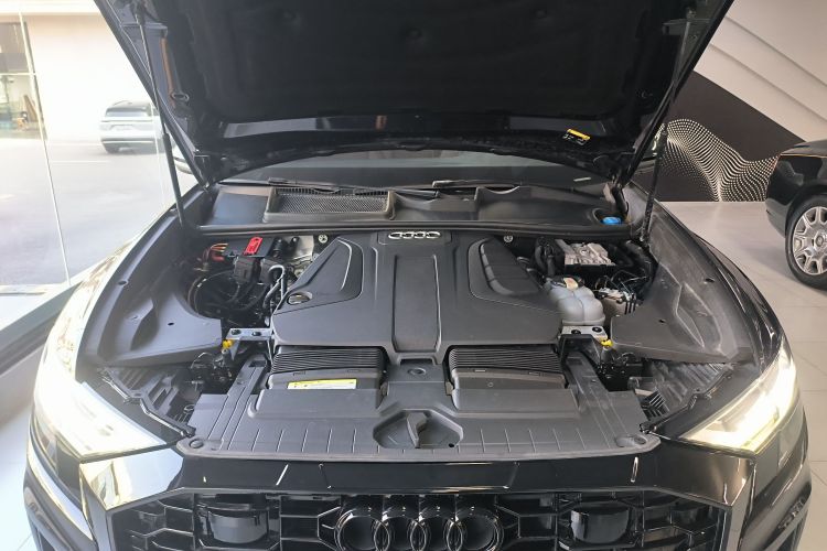 奥迪Q8 2019款 45 TFSI 豪华致雅型局部细节24