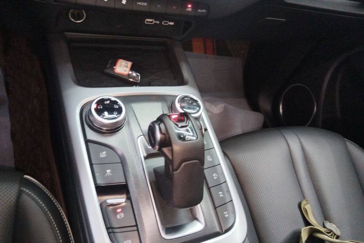 坦克300 2022款 2.0T 边境限定版中控内饰18