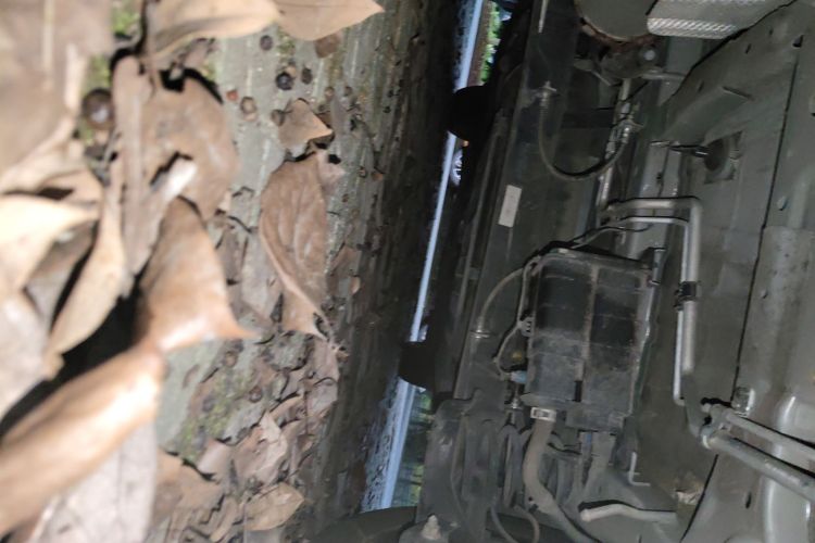 东风风行 风行游艇 2022款 1.5T DCT揽月版局部细节9009