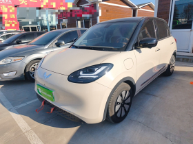 五菱汽车 五菱缤果 2025款 410km 灵犀尊享款