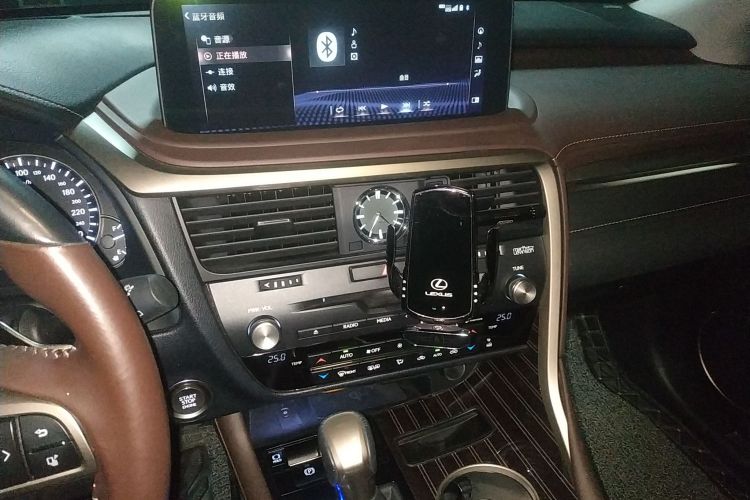 雷克萨斯RX 2021款 300 四驱特别版中控内饰16