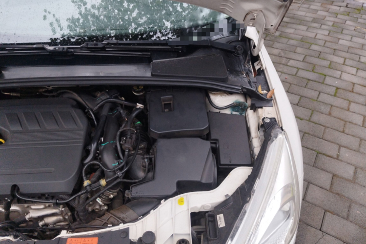 福特 福克斯 2017款 两厢 EcoBoost 180 自动精英型局部细节9007