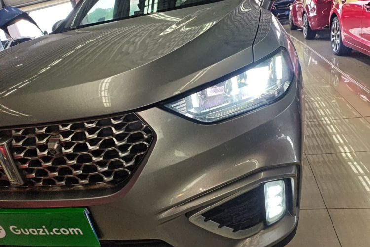 魏牌 VV5 2021款 1.5T 两驱颜先锋局部细节36