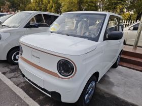 吉利银河 2024款 熊猫mini 200km 耐力熊
