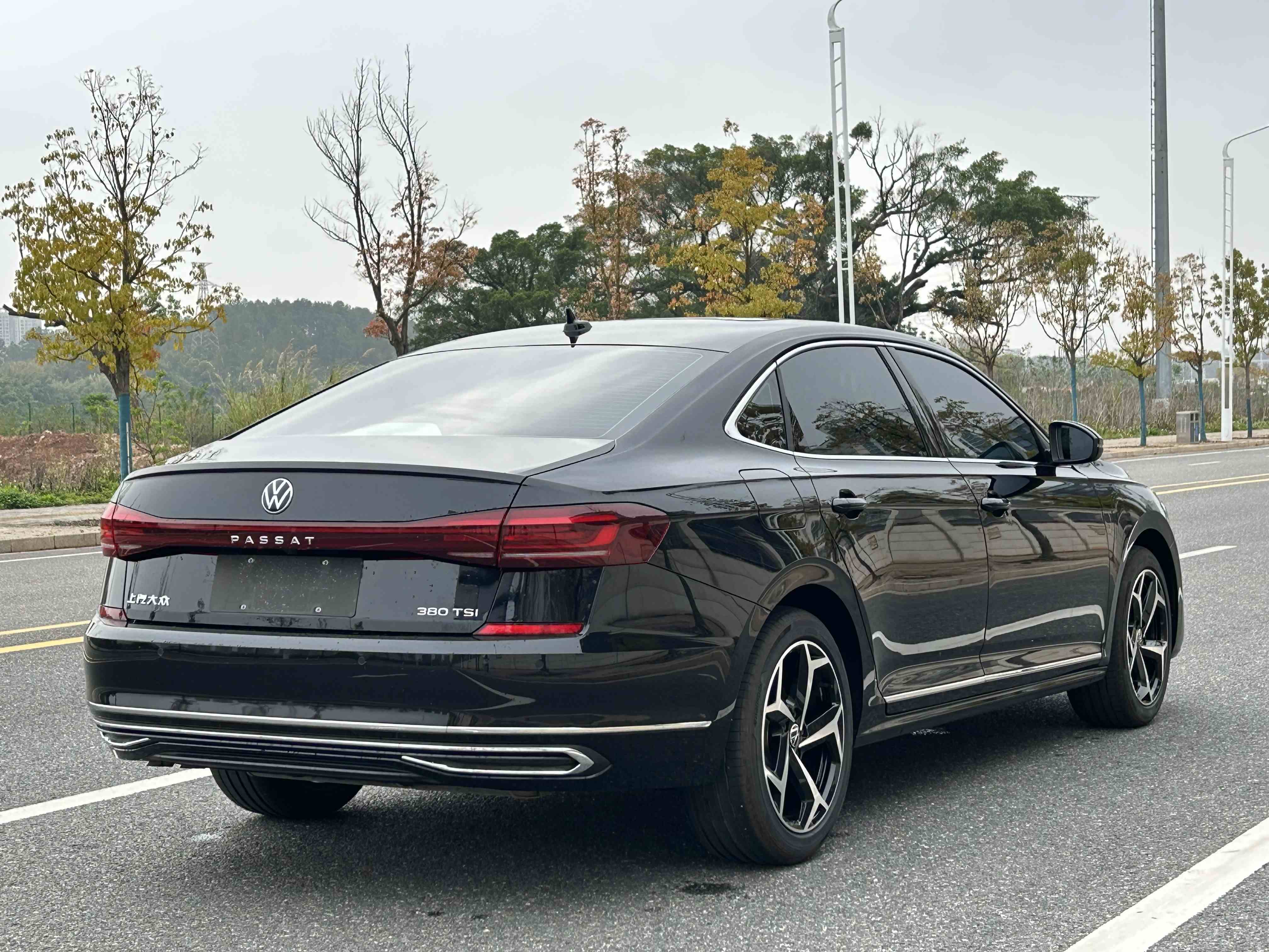 大众 帕萨特 2026款 出众款 380TSI 星空龙腾版(4)