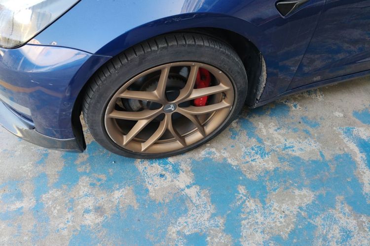 特斯拉 Model 3 2021款 Performance高性能全轮驱动版车身外观6007