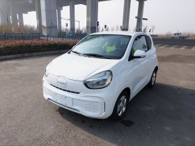 荣威 科莱威CLEVER 2021款 302km新四座超能版