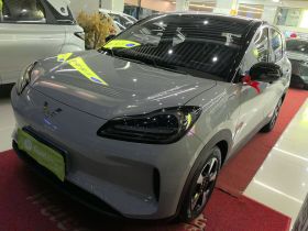 五菱汽车 五菱缤果PLUS 2024款 510km 旗舰版 四座版