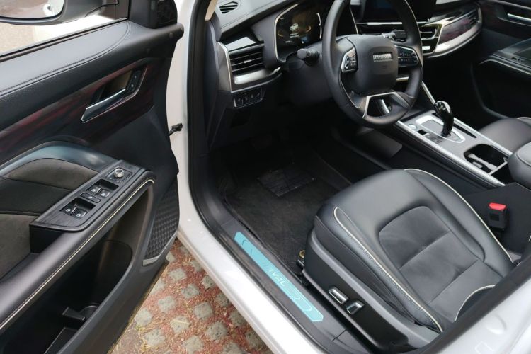 哈弗H6 2021款 国潮版 1.5T 自动冠军版中控内饰20