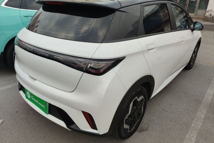 比亚迪 海豚 2021款 405km 时尚版车身外观7