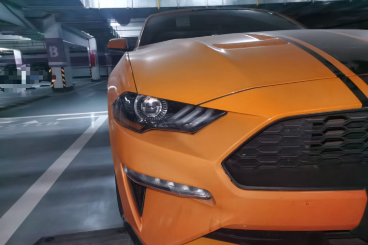 SHELBY GTE 2018款 2.3T 基础版车身外观8