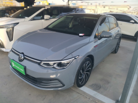 大众 高尔夫 2021款 280TSI DSG Pro