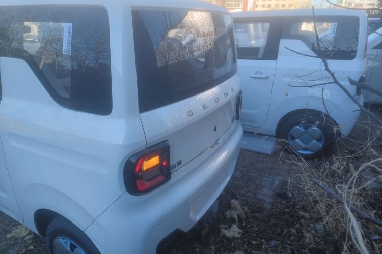 吉利银河 2024款 熊猫mini 200km 耐力熊车身外观6