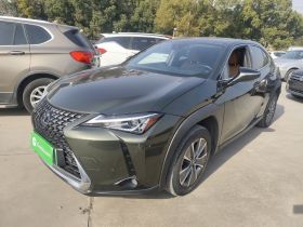 雷克萨斯UX新能源 2020款 300e 纯·悦版