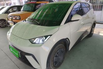 比亚迪 海鸥 2024款 荣耀版 305km 活力版