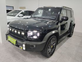 捷途山海 捷途旅行者C-DM 2024款 C-DM 208KM 山野版