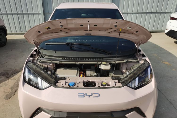 比亚迪 海鸥 2025款 305km 活力版机舱底盘24