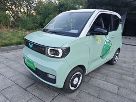 五菱汽车 宏光MINIEV 2021款 马卡龙时尚款 磷酸铁锂