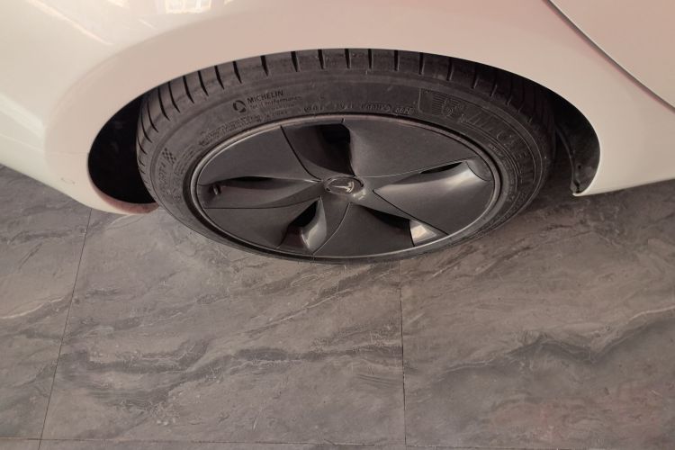 特斯拉 Model 3 2021款 标准续航后驱升级版车身外观6008