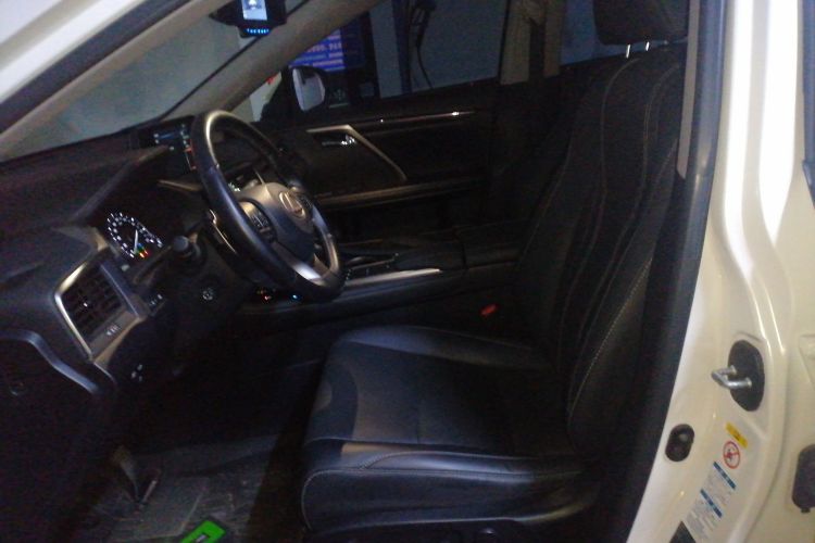 雷克萨斯RX 2020款 300 四驱典雅版 国VI局部细节19