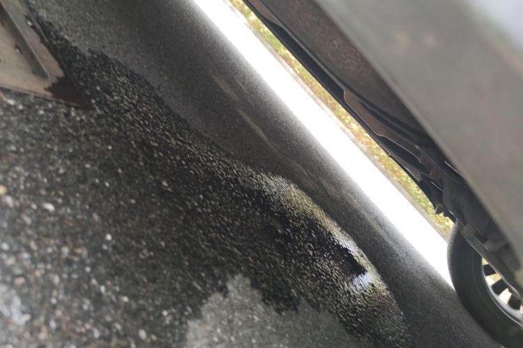 现代 帕里斯帝 2023款 3.5L 自动四驱Calligraphy局部细节9001