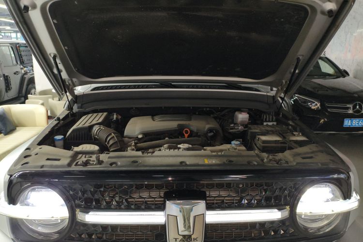 超境汽车 共创坦克300 2021款 2.0T 赛博坦克局部细节24