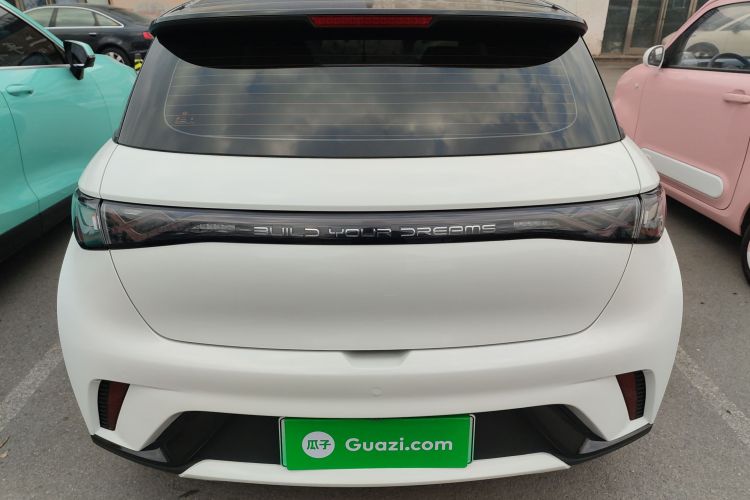 比亚迪 海豚 2021款 405km 时尚版车身外观6