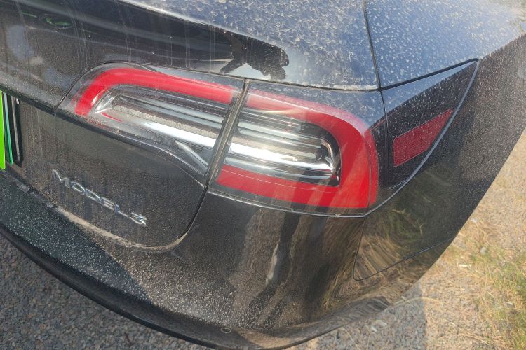 特斯拉 Model 3 2021款 标准续航后驱升级版 3D6车身外观6006