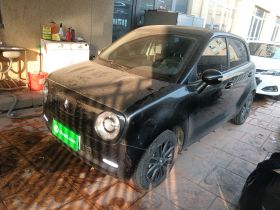 欧拉黑猫 2021款 351km 标准型