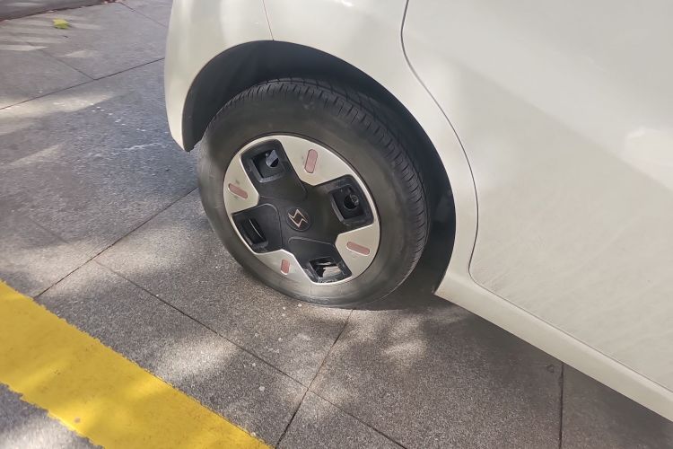 思皓 2022款 花仙子款 四叶草车身外观6008