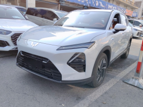 五菱汽车 五菱星光S 2025款 130km 高功率旗舰型