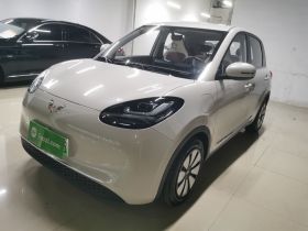 五菱汽车 五菱缤果 2024款 333km 悦享款