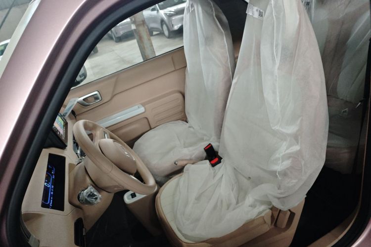 吉利银河 2024款 熊猫mini 200km 耐力熊中控内饰19