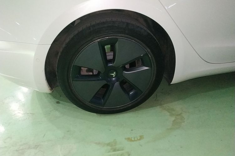 特斯拉 Model 3 2021款 标准续航后驱升级版车身外观6008